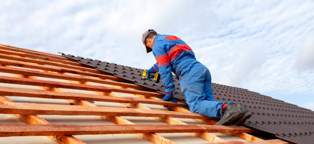 Best Roof Maintenance and Cleaning  in Farley, KY