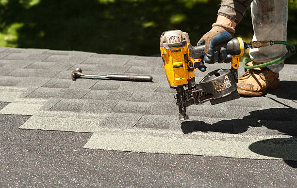 Best Roof Moss and Algae Removal  in Farley, KY